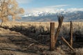 Wood post on rural dirt road with winter tree and snowy mountain range Royalty Free Stock Photo