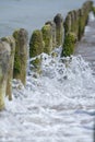 Wood posts in sea