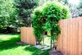 Wood Privacy Fence dog ear style