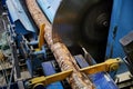 Wood processing at a sawmill. Preparation of a log for the production of plywood and veneer, sawing and cleaning of blanks in a Royalty Free Stock Photo