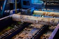 Wood processing at a sawmill. Preparation of a log for the production of plywood and veneer, sawing and cleaning of blanks in a Royalty Free Stock Photo