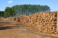 Wood for the production of charcoal Royalty Free Stock Photo