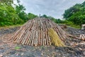 Wood pyre of pine logs