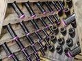 Wood rack stand with bottles of white dry sparkling wine Royalty Free Stock Photo