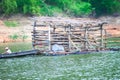 Wood raft cage and have buffalo inside ,  dragging by a long tail boat with man on the river , water transportation Royalty Free Stock Photo