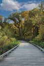 A wood, raised walking trail leading to the woods on an autumn day at Hastings Lake Forest Preserve in Lake Villa, Illinois Royalty Free Stock Photo