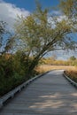 A wood, raised walking trail leading through wetlands on an autumn day at Hastings Lake Forest Preserve in Illinois Royalty Free Stock Photo