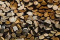 Pile of firewood in the open air Royalty Free Stock Photo