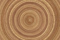 Wood rings Royalty Free Stock Photo