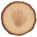 Wood Rings Stop Hand Sign Nature Protection Age