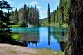 The Wood river head waters comes up in Jackson Kimball State Park, Oregon and flows down to Agency Lake. It is well known for Royalty Free Stock Photo