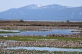 Wood River Wetlands Klamath Basin Oregon