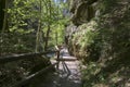 Wood and rock landscape in Bohemian Switzerland, Kammintz George rocky ravine, Saxon Switzerland National Park Royalty Free Stock Photo