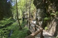 Wood and rock landscape in Bohemian Switzerland, Kammintz George rocky ravine, Saxon Switzerland National Park Royalty Free Stock Photo