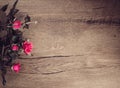 Wood and roses background Royalty Free Stock Photo