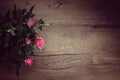 Wood and roses background Royalty Free Stock Photo