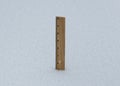 Wood ruler in snow shows five feet so far Royalty Free Stock Photo