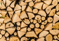 Wood`s Royalty Free Stock Photo