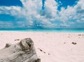 Wood in sand with sea and aky Royalty Free Stock Photo