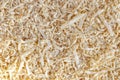 Wood sawdust background closeup. Sawdust floor texture. Top view. Sawdust texture, close-up background of brown sawdust