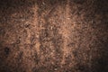 Wood sawdust background closeup. Sawdust floor texture. Top view. Sawdust texture, close-up background of brown sawdust Royalty Free Stock Photo