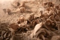 Wood sawdust closeup. Sawdust floor texture. Milling machine Royalty Free Stock Photo