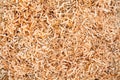 Wood sawdust