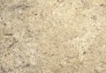 Wood sawdust texture material background closeup, top view Royalty Free Stock Photo