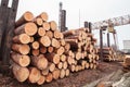Wood sawmill log