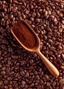 Wood scoop with ground coffee on beans background Royalty Free Stock Photo