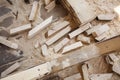 Wood scrap from chain saw Royalty Free Stock Photo