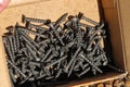 Wood screws in box, close up Royalty Free Stock Photo
