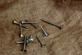 Wood screws on the canvas background. Subject photo. Royalty Free Stock Photo