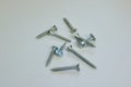 Wood screws on the white background. Subject photo. Royalty Free Stock Photo