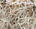 Wood shavings background Royalty Free Stock Photo