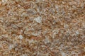 WOOD SHAVINGS BIOMASS