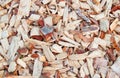 Wood shavings, shavings, chips, natural material texture background Royalty Free Stock Photo