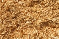 Wood Shavings And Sawdust Pile Background Texture