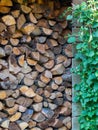 Wood shed, large log store filled with firewood Royalty Free Stock Photo