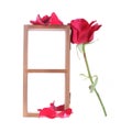 Wood shelf decorated with red rose flowers isolated Royalty Free Stock Photo