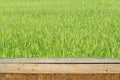 wood shelf and green rice field background Royalty Free Stock Photo