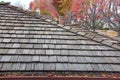 Wood shingle roof with clogged rain guttters, autumn leaves on trees in background Royalty Free Stock Photo