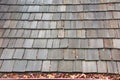 Wood shingle roof with rain gutters clogged with leaves Royalty Free Stock Photo