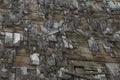 Wood shingles remaining on collapsing building roof form intricate pattern