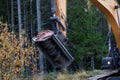 Wood shredder removes vegetation on side of road using mulching attachment on an excavator. Royalty Free Stock Photo