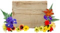 Wood Sign & Flowers Royalty Free Stock Photo