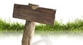 Wood sign and grass with reflection isolated Royalty Free Stock Photo