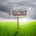 Wood sign with green rice field and rainclouds in Thailand Royalty Free Stock Photo