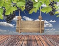 Wood sign, vineyard with blue sky