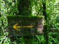 Wood signal with moss. Ecoturismo , ecotourism in Costa Rica